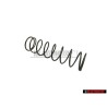 Original VW Pressure Spring - 823711197A