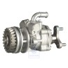 Original VW Vane Pump - 7L6422153A