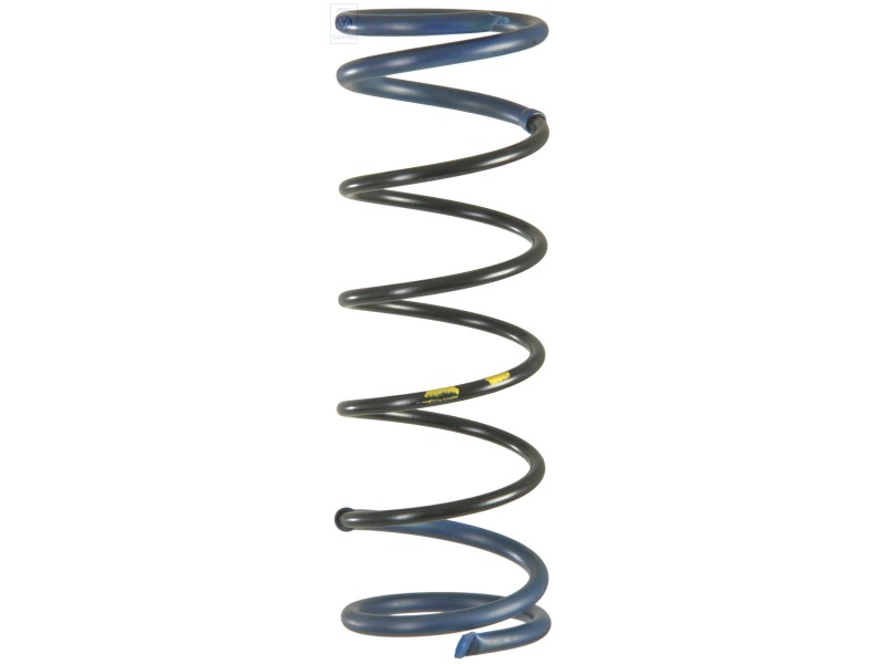 Original VW Coil Spring 1 Paint Mark - 861411103 951