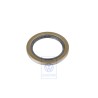 Original VW Seal Ring - J9031162001