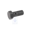 Original VW Banjo Bolt - N 10313501