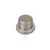 Original VW Sealing Plug - N 90565701