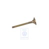 Original VW Exhaust Valve - TAE109611