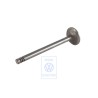 Original VW Inlet Valve - 113109601B