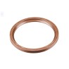 Original VW Radial Shaft Seal - 005409256