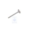 Original VW Inlet Valve - 051109601B