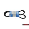 SKF V-Ribbed Belt - VKMV 7DK1360