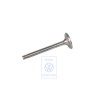 Original VW Inlet Valve - 068109601N
