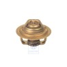 Original VW Coolant Regulator - 036121113