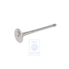 Original VW Exhaust Valve - 058109611M