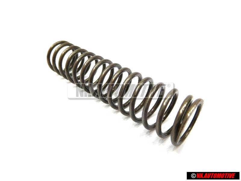 Original VW Spring - 113115421