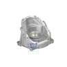 Original VW Bearing Plate - 009409305