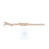 Original VW Sill Trim Strip Pure Beige - 1K4853371D 7G8