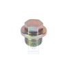 Original VW Oil Drain Plug - 2RD103193
