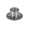 Original VW Wheelhub With Bearing - 6E0407621D