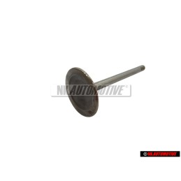 Original VW Inlet Valve - 078109601E
