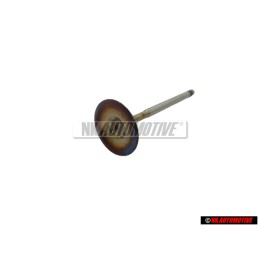 Original VW Inlet Valve - 022109601G