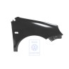 Original VW Wing - 6Q0821106D