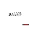 Original VW Pressure Spring - 251721268