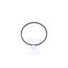 Original VW Oil Scraper Ring - 022107371A