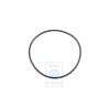 Original VW Seal Ring - 003325381