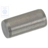 Original VW Cylinder Pin - 113101111
