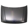 Original VW Bonnet - 6N0823031D