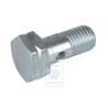Original VW Banjo Bolt - 035133507A