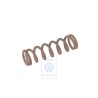 Original VW Pressure Spring - 113951555A