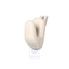 Original VW Coat Hook Corn Silk Beige - 1K0857635 95T