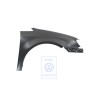 Original VW Wing - 1T0821022A