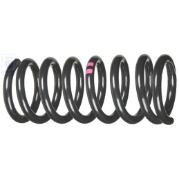 Original VW Coil Spring Violet Paint Marks - 251411105F 952