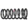 Original VW Coil Spring Violet Paint Marks - 251411105F 952
