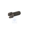 Original VW Adjustment Screw - 311609209